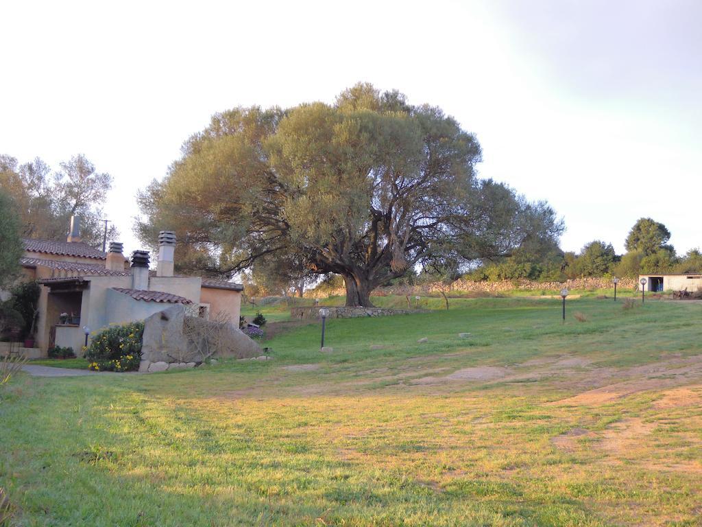 Agriturismo Candela Hotel Arzachena Luaran gambar